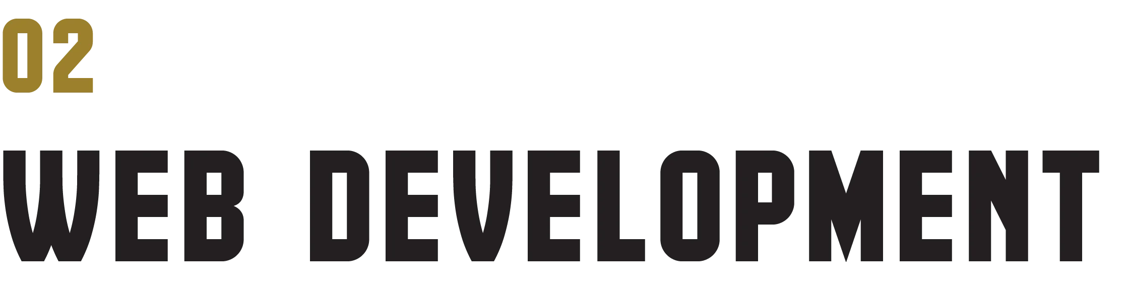 Artisense web development pricing v2@3x